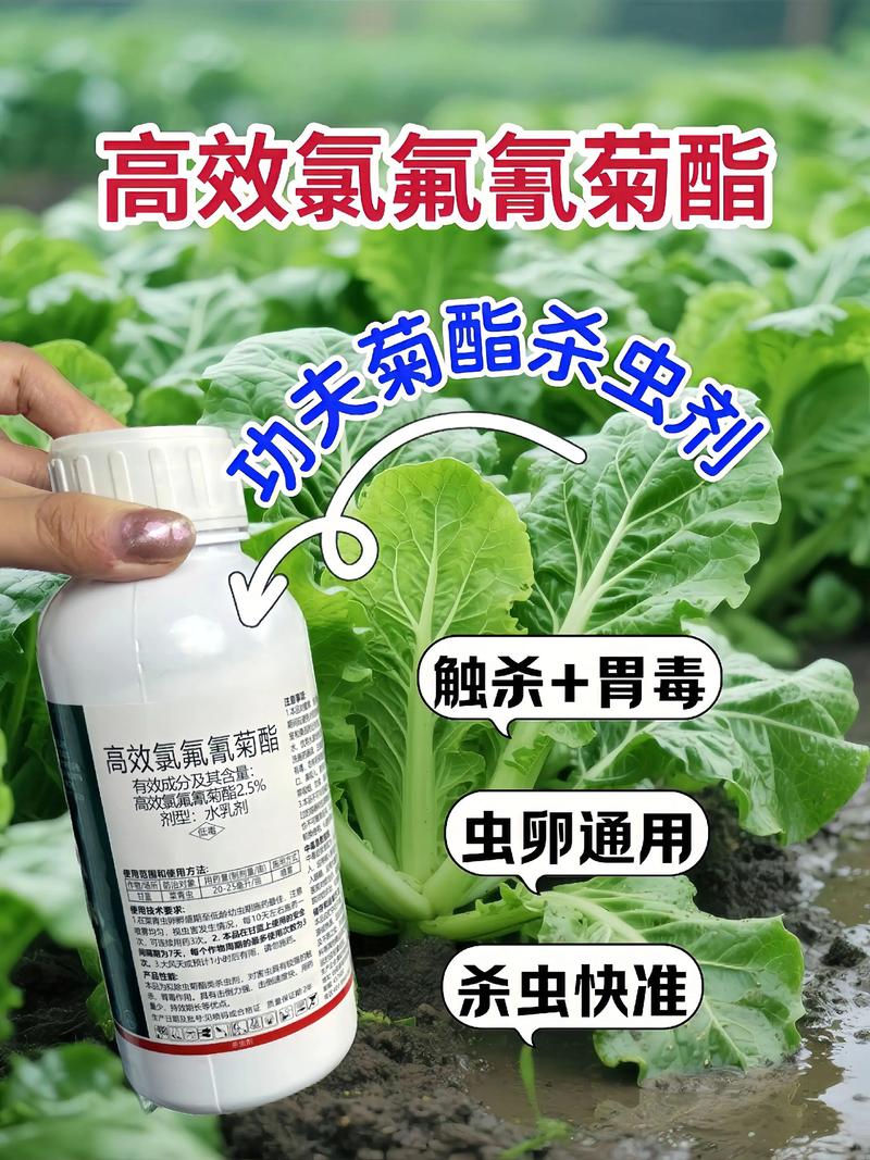 吕梁代生中心:农药对供卵代生妈妈的危害